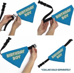 Buckle-Down Birthday Boy Text Dog Bandana, Blue slide 2 of 6