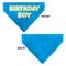 Show in main carousel: Buckle-Down Birthday Boy Text Dog Bandana, Blue slide 3 of 6