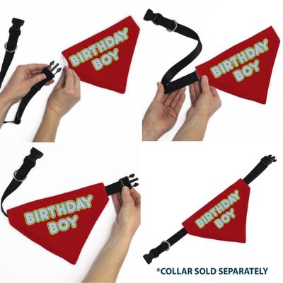 Show full view: Buckle-Down Birthday Boy Text Dog Bandana, Red slide 7 of 7