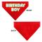 Show in main carousel: Buckle-Down Birthday Boy Text Dog Bandana, Red slide 4 of 7
