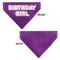 Show in main carousel: Buckle-Down Birthday Girl Text Dog Bandana, Purple slide 3 of 7