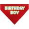 Show in main carousel: Buckle-Down Birthday Boy Text Dog Bandana, Red slide 1 of 7