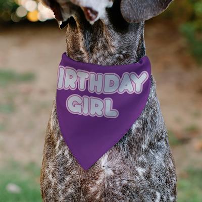 Show full view: Buckle-Down Birthday Girl Text Dog Bandana, Purple slide 4 of 7