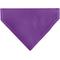 Show in main carousel: Buckle-Down Birthday Girl Text Dog Bandana, Purple slide 2 of 7