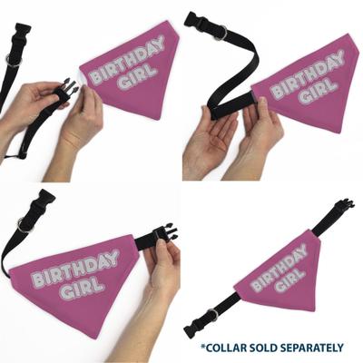Show full view: Buckle-Down Birthday Girl Text Dog Bandana, Pink slide 7 of 8
