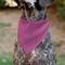 Show in main carousel: Buckle-Down Birthday Girl Text Dog Bandana, Pink slide 6 of 8