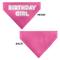 Show in main carousel: Buckle-Down Birthday Girl Text Dog Bandana, Pink slide 4 of 8