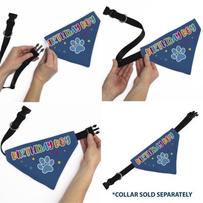 Show full view: Buckle-Down Birthday Boy Text Paw & Confetti Dog Bandana slide 6 of 7