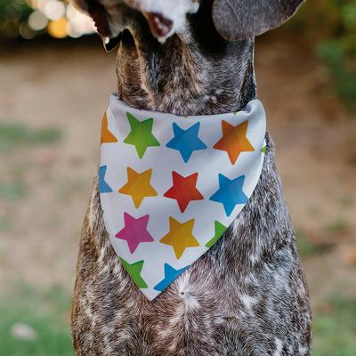 Show full view: Buckle-Down Birthday Boy Text & Stars Dog Bandana slide 5 of 6