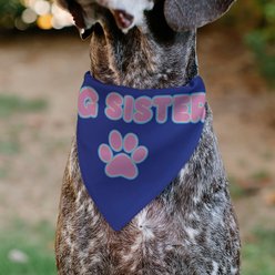 Buckle-Down Big Sister Text & Paw Dog Bandana slide 2 of 7