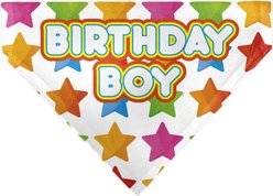 Buckle-Down Birthday Boy Text & Stars Dog Bandana