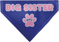 Buckle-Down Big Sister Text & Paw Dog Bandana