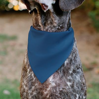 Show full view: Buckle-Down Adopt Me Text & Paw Dog Bandana slide 5 of 6