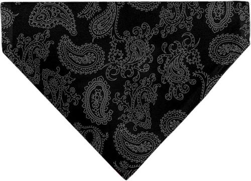 Show full view: Buckle-Down Black & Gray Dog Bandana slide 2 of 6