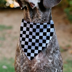Buckle-Down Checker Dog Bandana, Black & White slide 2 of 7