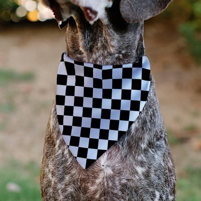 Show full view: Buckle-Down Checker Dog Bandana, Black & White slide 6 of 7