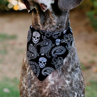 Show full view: Buckle-Down Bandana Skulls Dog Bandana, Black & White slide 4 of 6