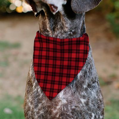 Show full view: Buckle-Down Christmas Plaid Holiday Pajama Personalized Dog Bandana slide 5 of 6