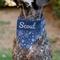 Show in main carousel: Buckle-Down Christmas Holiday Hanukkah Symbols Personalized Dog Bandana slide 4 of 6
