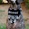 Show in main carousel: Buckle-Down Halloween Ghosts Scattered Personalized Dog Bandana slide 4 of 6