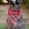 Show in main carousel: Buckle-Down Christmas Holiday Candy Cane Stripe Personalized Dog Bandana slide 4 of 6