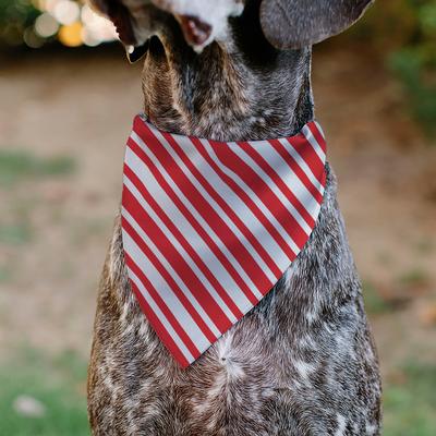 Show full view: Buckle-Down Christmas Holiday Candy Cane Stripe Personalized Dog Bandana slide 5 of 6