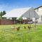 Show in main carousel: Yafylly Chicken Coop, 7 to 8 Chicken Capacity, Silver Gray slide 5 of 5