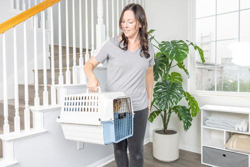 Show full view: Van Ness Calm Carrier E-Z Load Sliding Drawer Cat Kennel slide 8 of 12