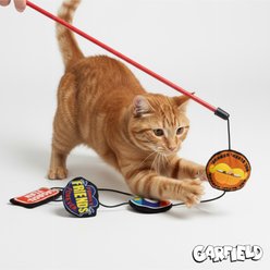 Baby Garfield Sayings Cat Teaser Toy, 5 count slide 2 of 6