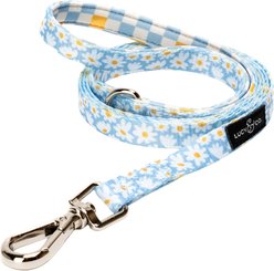 Lucy & Co. Simply Splendid Cat Leash, Large