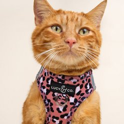 Lucy & Co. Wild Side Step-in Cat Harness, X-Small slide 2 of 7