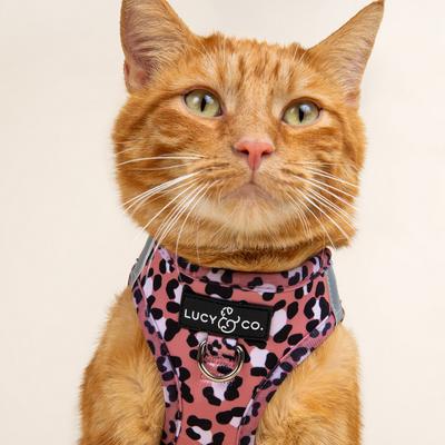 Show full view: Lucy & Co. Wild Side Step-in Cat Harness, Small slide 2 of 7