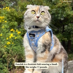 Lucy & Co. Simply Splendid Step-in Cat Harness, X-Small