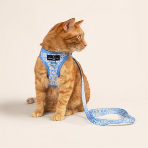 Lucy & Co. Simply Splendid Step-in Cat Harness, X-Small