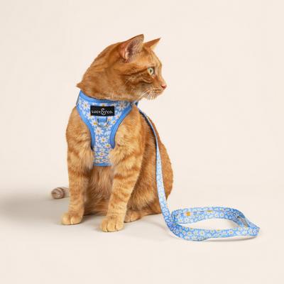 Show full view: Lucy & Co. Simply Splendid Step-in Cat Harness, X-Small slide 2 of 8