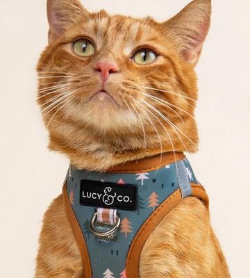 Show full view: Lucy & Co. Take a Hike Step-in Cat Harness, Large slide 3 of 7