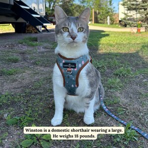 Lucy & Co. Take a Hike Step-in Cat Harness, Large