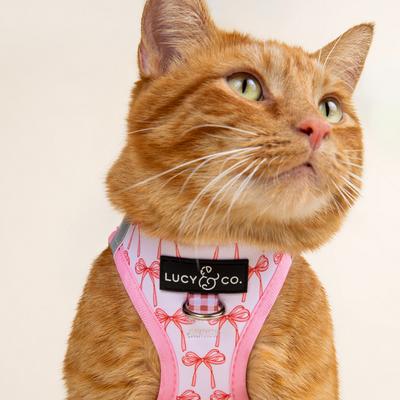 Show full view: Lucy & Co. Take a Bow Step-in Cat Harness, Medium slide 2 of 7
