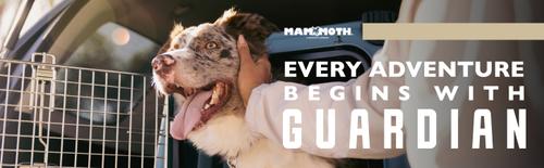 Show full view: Mammoth Guardian Dog Kennel, Pink Shock slide 9 of 12