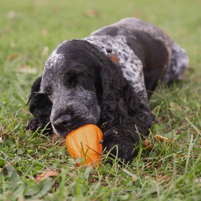 Show full view: Chew King by Mammoth Premium Bacon Flavored Extremely Durable Natural Rubber Tough Treat Dog Chew Toy, Orange, Medium slide 2 of 8