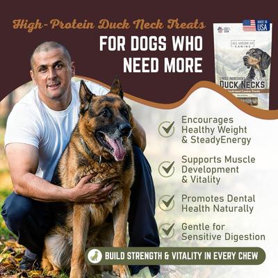Show full view: All American Canine Duck Necks Dehydrated Dog Treats, 50 count slide 4 of 8