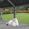 Show in main carousel: Yafylly Catio Wooden Hammock Cat Window Perch, Grey, Medium slide 6 of 6