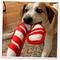 Show in main carousel: Doggijuana Christmas Tuffer Chewer Candy Cane Tough Chew Dog Toy, Red/White, Medium slide 6 of 7