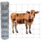Show in main carousel: LIZEVINC 13-Gauge Heavy Zinc Coated Cattle Fence, 3 x 164-ft slide 4 of 5