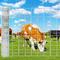 Show in main carousel: LIZEVINC 14-Gauge Heavy Zinc Coated Cattle Fence, 5 x 164-ft slide 1 of 5
