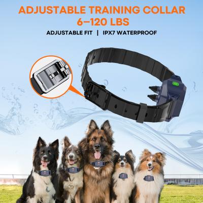 Show full view: GroovyPets 2-Dog Wireless Waterproof Dog Training Collar slide 9 of 10