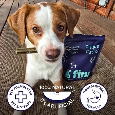 Show full view: Finn Plaque Patrol Dental Sticks Dog Treats, Small, 20 count slide 8 of 10