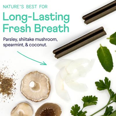 Show full view: Finn Plaque Patrol Dental Sticks Dog Treats, Large, 15 count slide 6 of 10