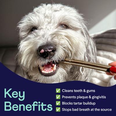 Show full view: Finn Plaque Patrol Dental Sticks Dog Treats, Large, 15 count slide 4 of 10