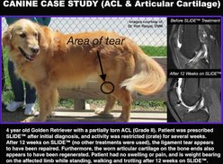 SLIDE ha+ Advanced Joint Lubrication Hyaluronic Acid UCII Collagen Joint Supplement for Dogs, 11-oz jar slide 2 of 3
